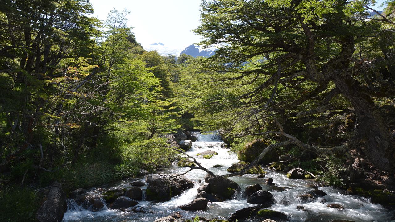 Mountains And Glaciers Of Mount Tronador (3)