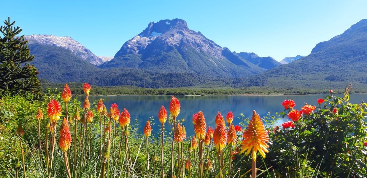 Mountains And Glaciers Of Mount Tronador (7)