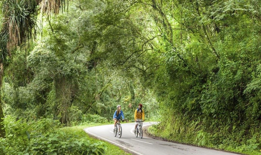 Mountain Biking In The Jungle - Yungas Circuit (0)