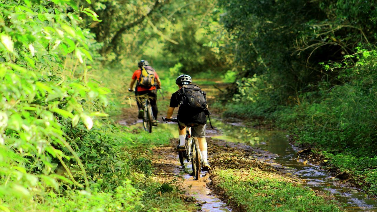 Bicicleta De Montanha Pelo Parque Nacional Do Iguazu (1)