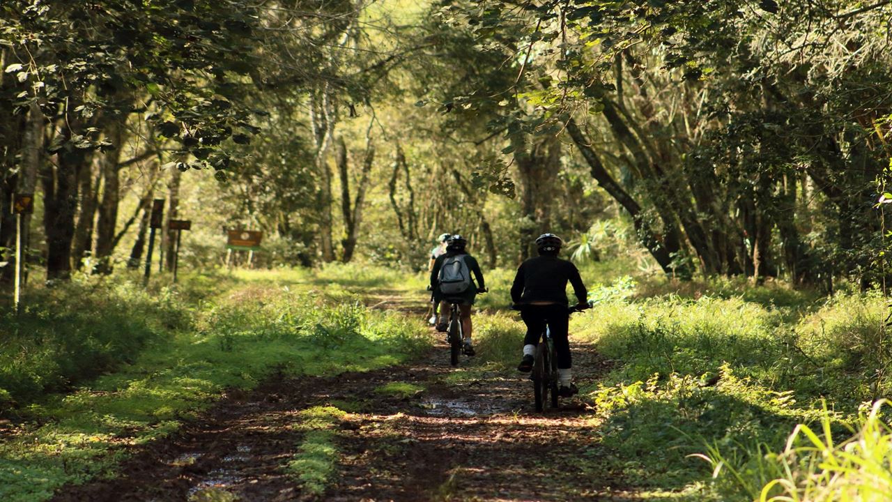 Bicicleta De Montanha Pelo Parque Nacional Do Iguazu (3)
