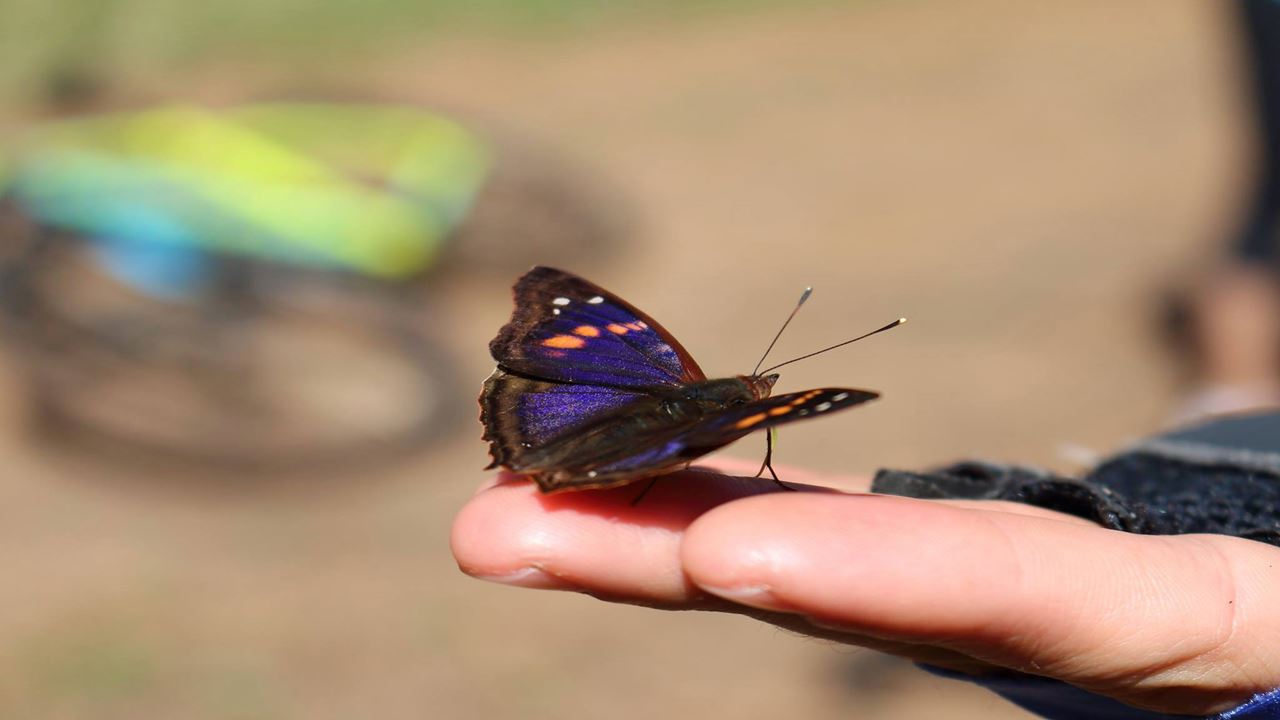 Bicicleta De Montanha Pelo Parque Nacional Do Iguazu (2)