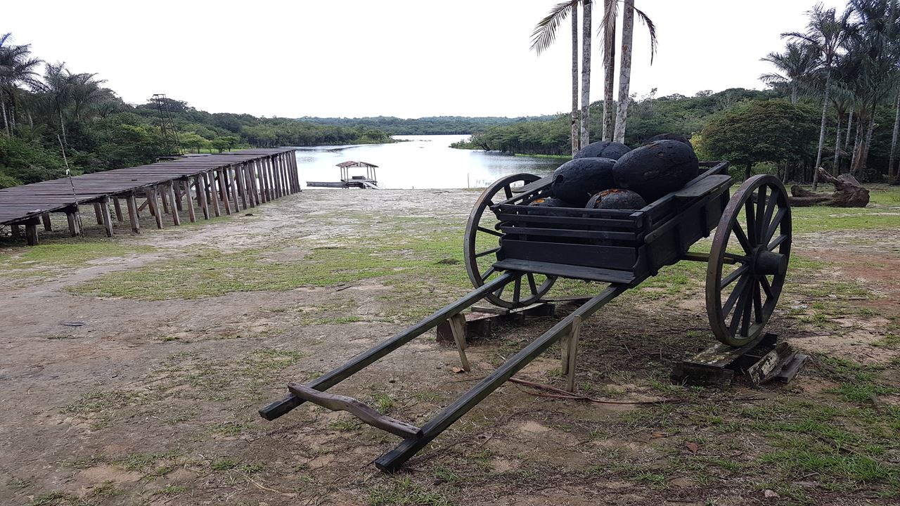Rubber Museum In The Amazon	 (1)
