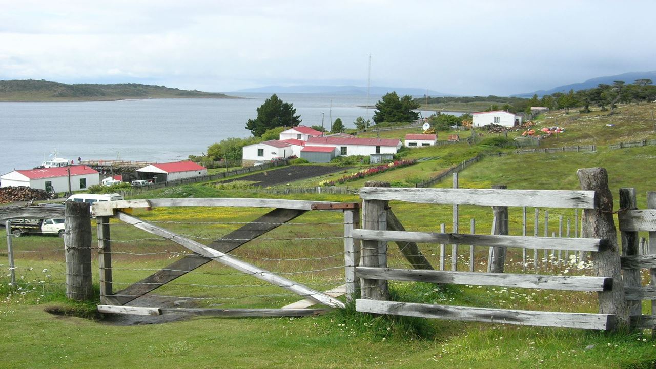 Navegación Canal De Beagle Y Caminata Con Pinguinos En Isla Martillo
 (8)