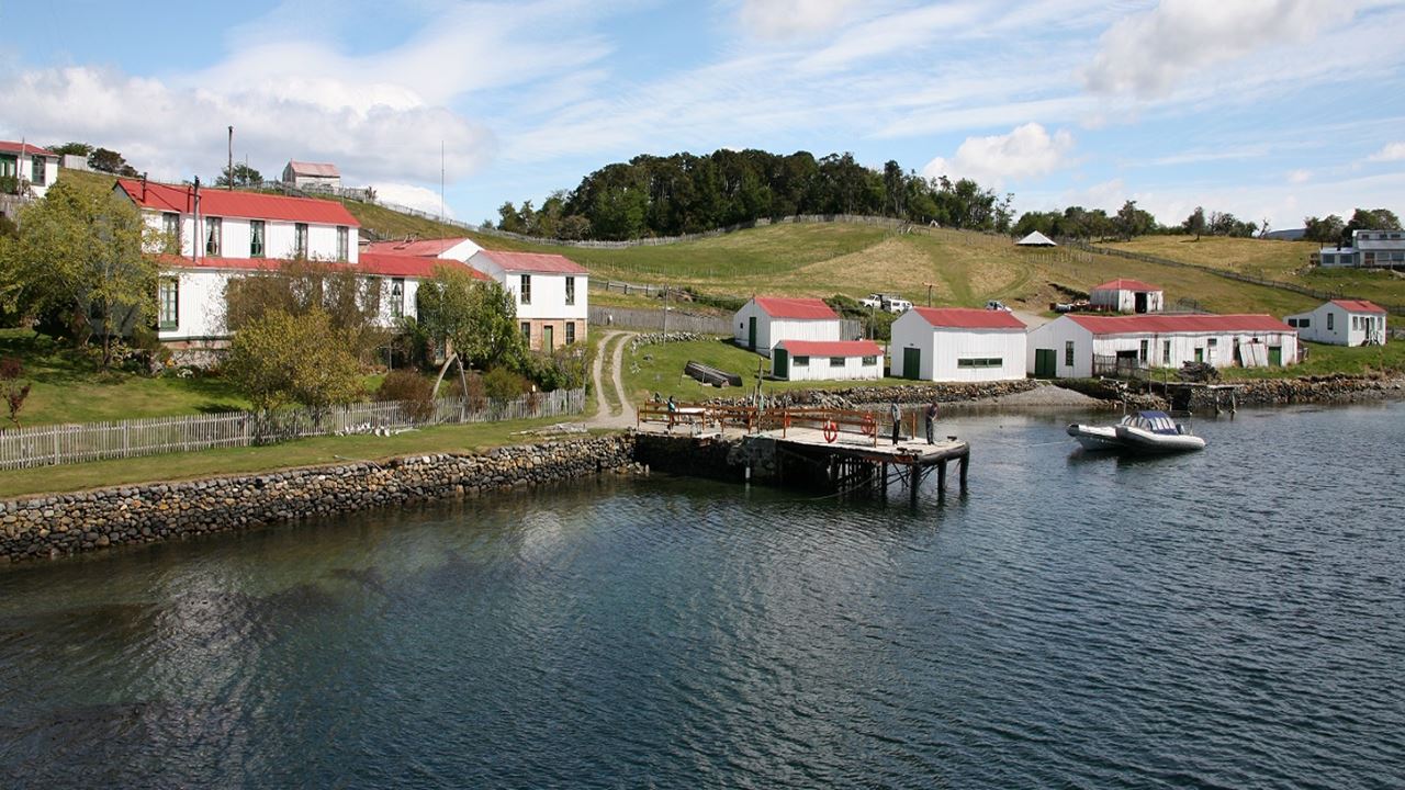 Navegación Canal De Beagle Y Caminata Con Pinguinos En Isla Martillo
 (9)