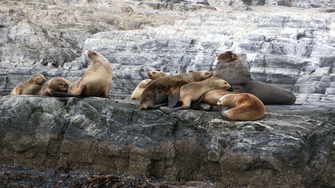 Navegacion En Yate Por El Canal Beagle (1)