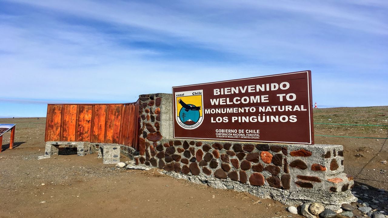 Navegacion Pingüinera Isla Magdalena foto 4