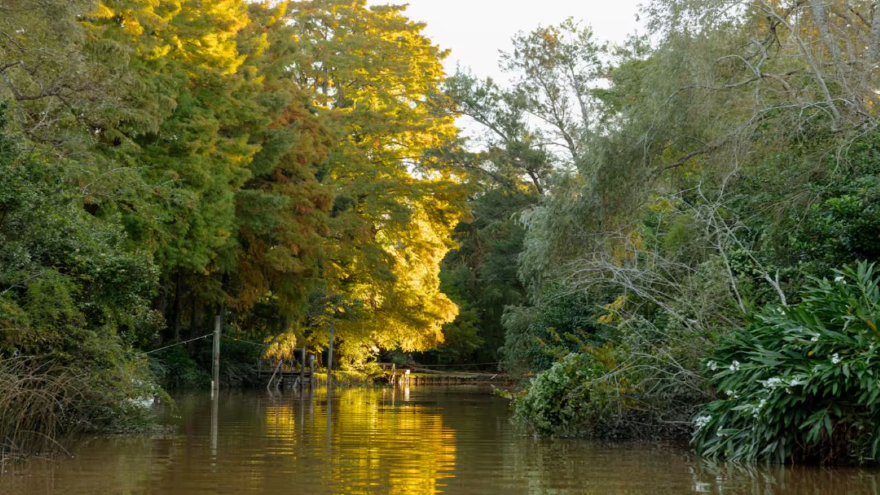 Private Navigation In The Delta foto 6