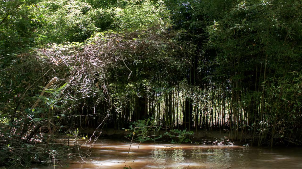 Private Navigation In The Delta foto 7