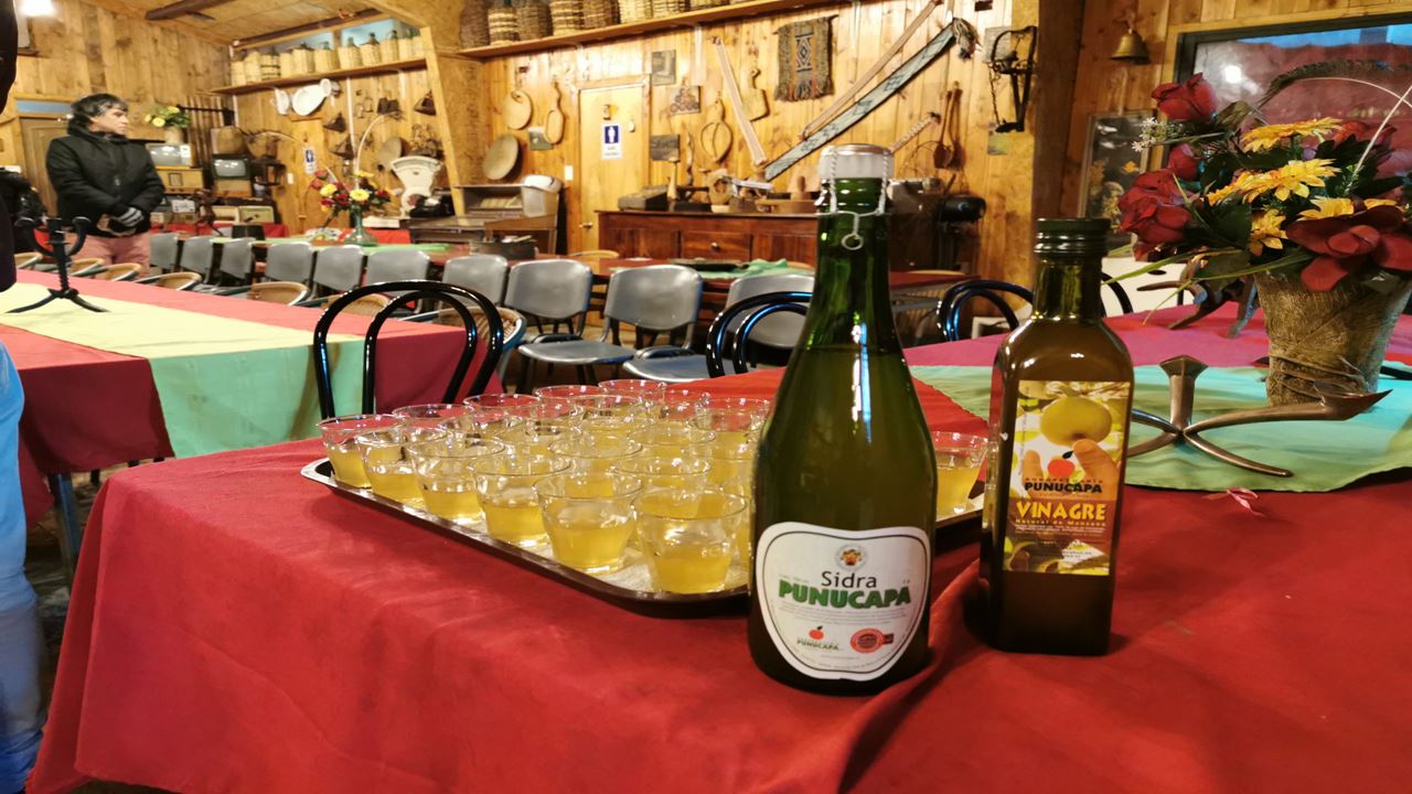 Navigation Punucapa And Its Natural Sanctuary In Valdivia foto 8