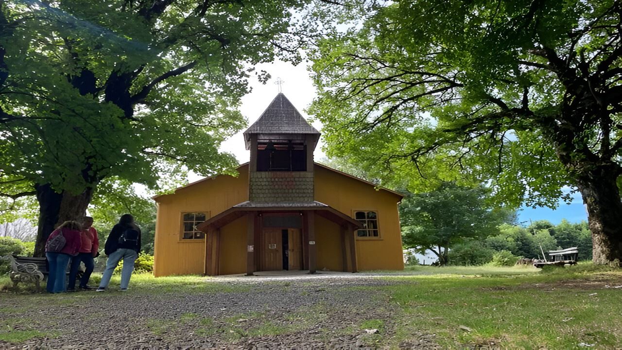 Navigation Punucapa And Its Natural Sanctuary In Valdivia foto 5