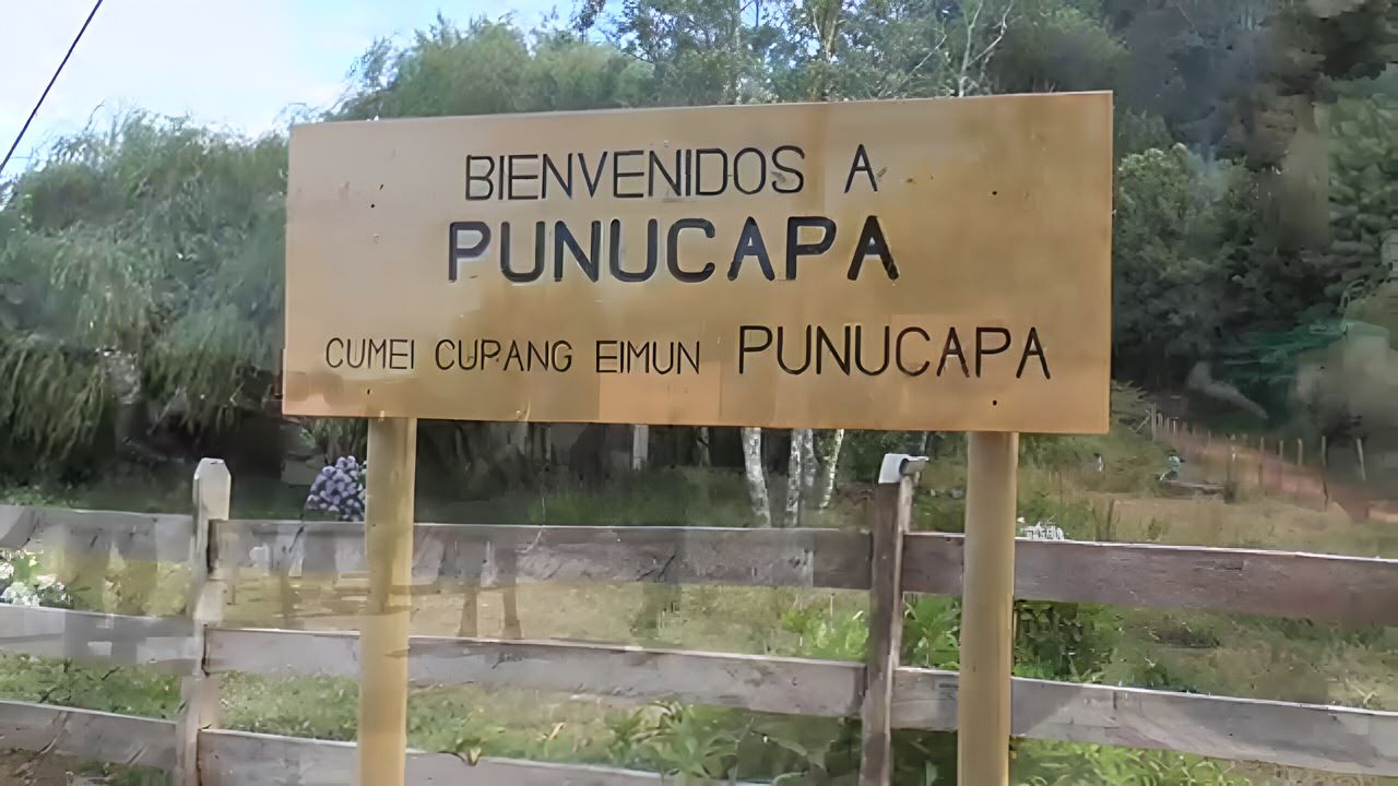 Navigation Punucapa And Its Natural Sanctuary In Valdivia foto 9