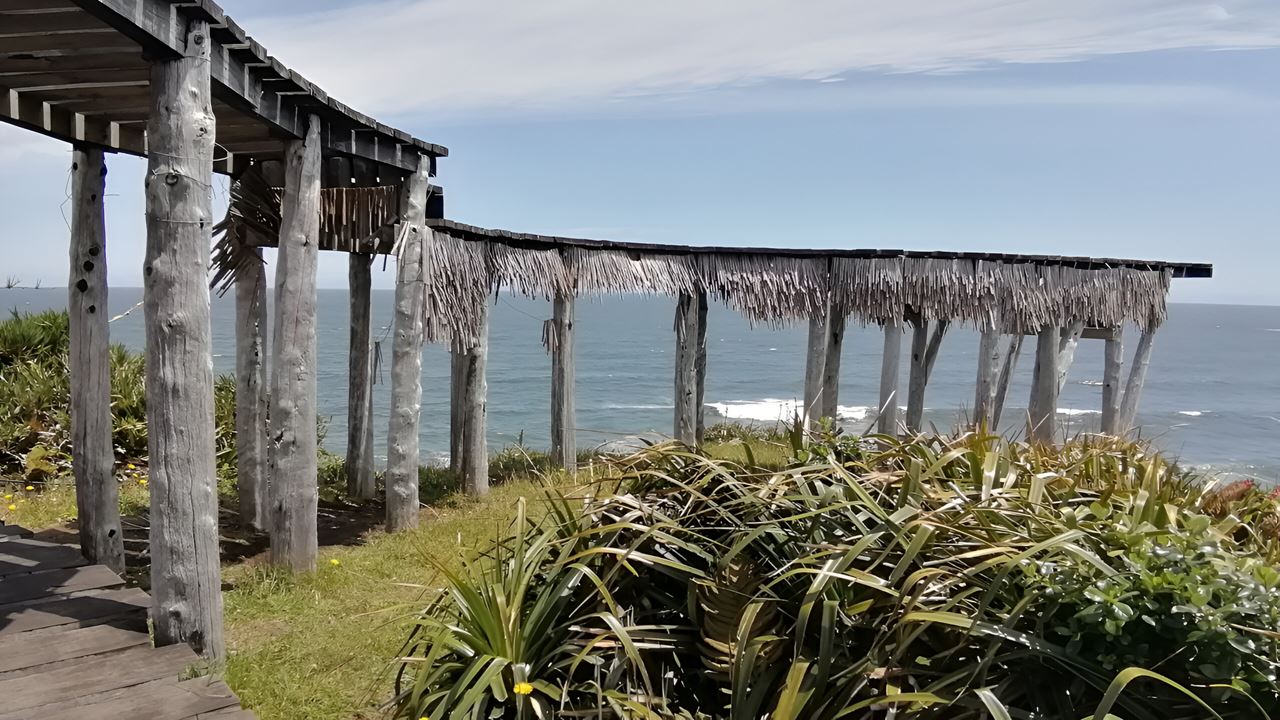 Navegação No Rio Chepu E Cais Leve foto 8