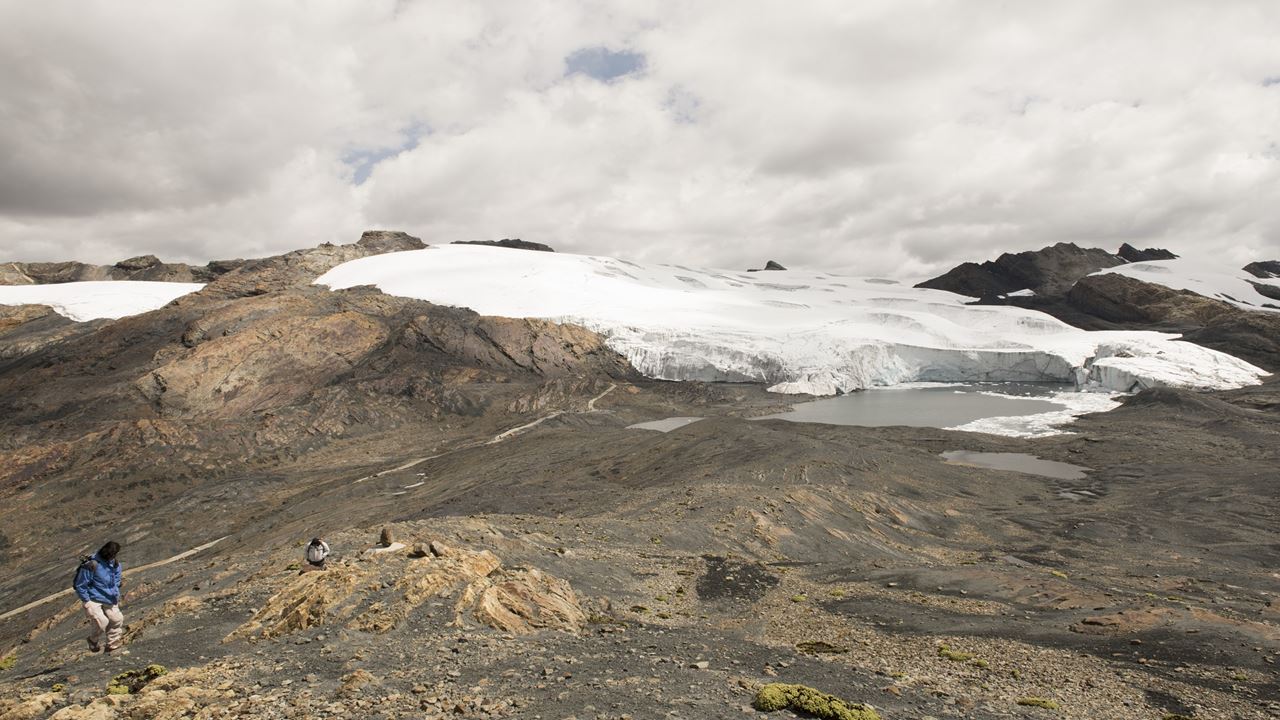 Gletscher Pastoruri Und Puya Raimondi foto 13