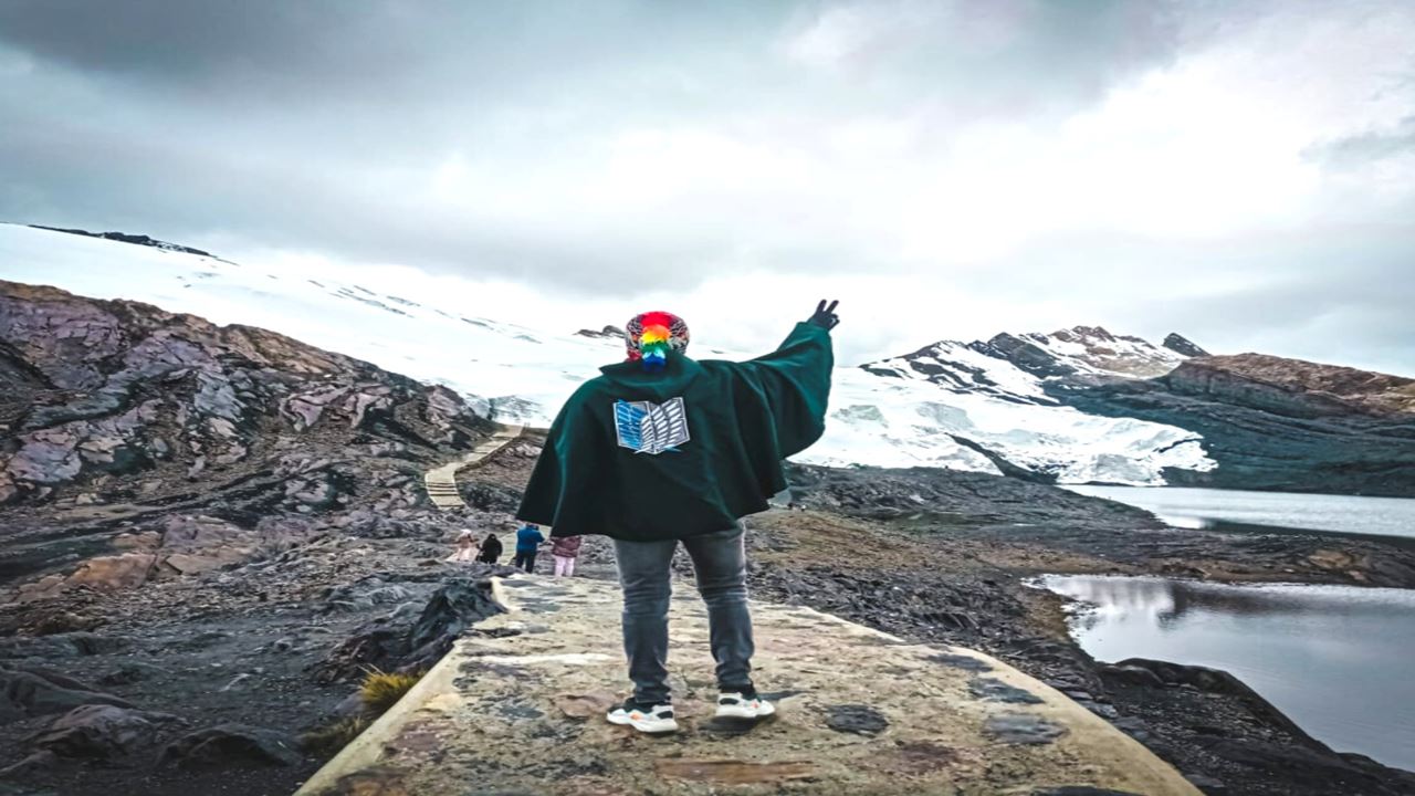 Gletscher Pastoruri Und Puya Raimondi foto 10
