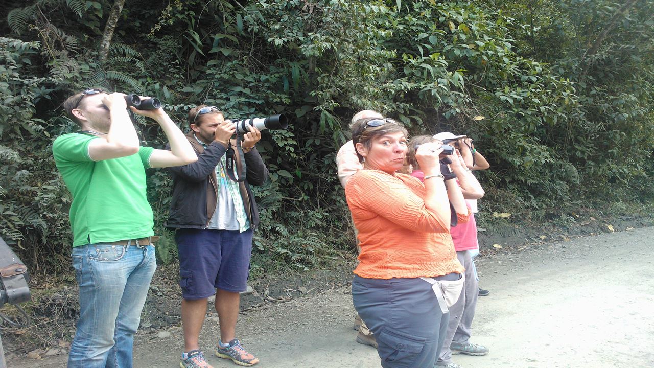 Observación De Aves Abra Malaga Desde Ollantaytambo (8)