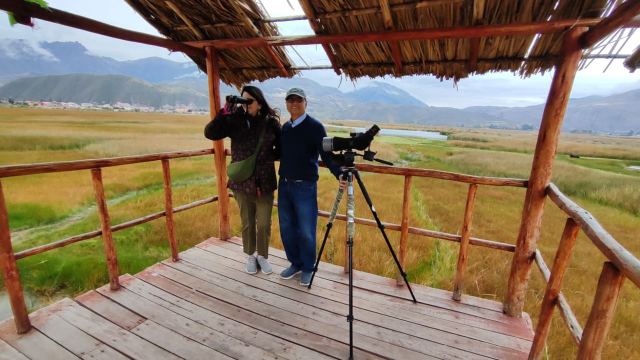 Observación De Aves Abra Malaga Desde Ollantaytambo (2)