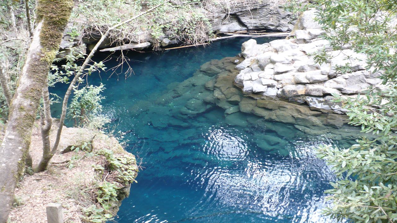 Ojos Del Caburgua & Lago Caburgua foto 11