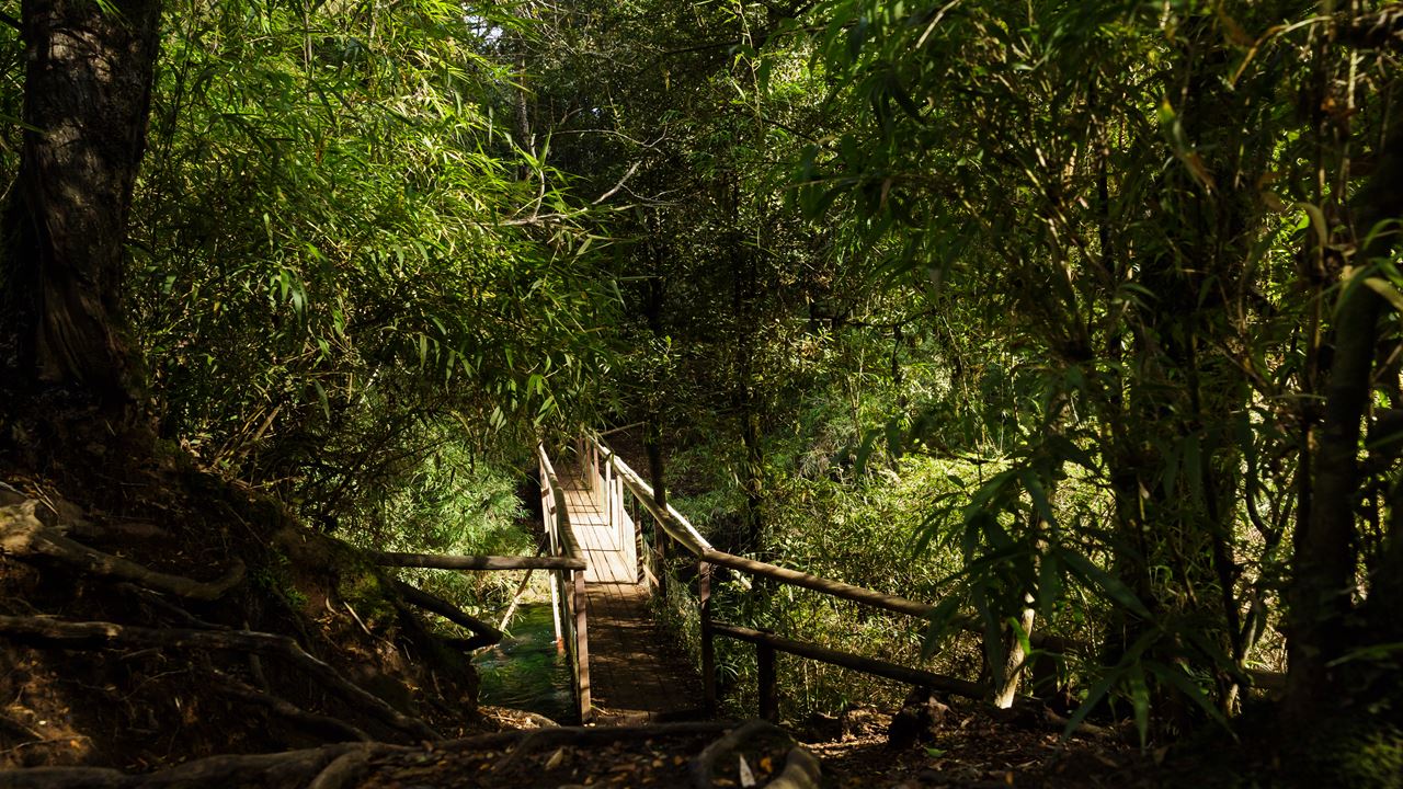 Ojos Del Caburgua & Lago Caburgua foto 3