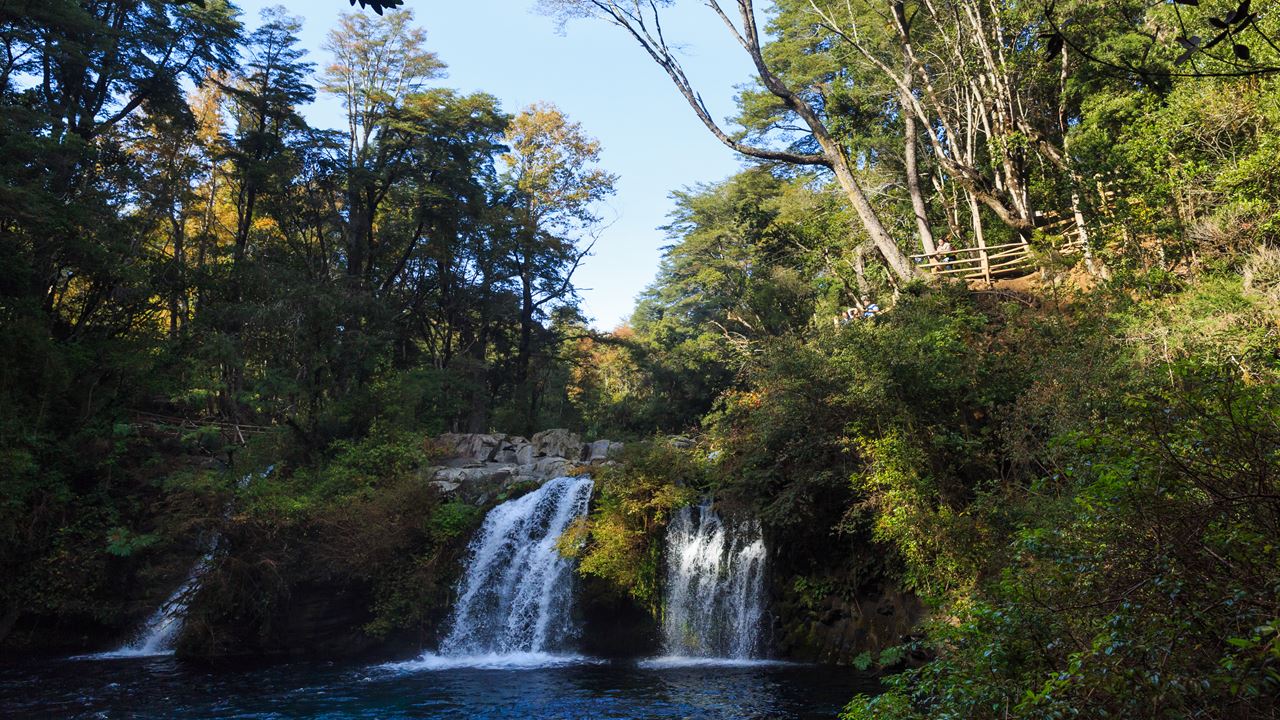 Ojos Del Caburgua & Lago Caburgua foto 8