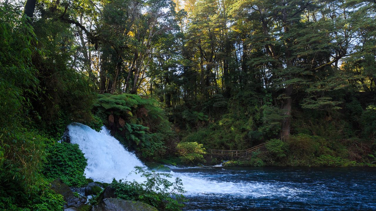 Ojos Del Caburgua & Lago Caburgua foto 5