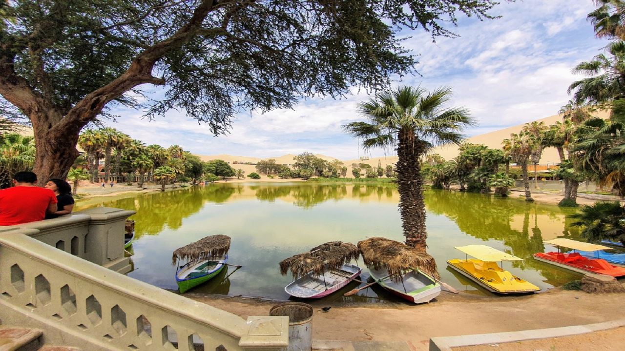 Paracas Y Oasis De Huacachina (6)