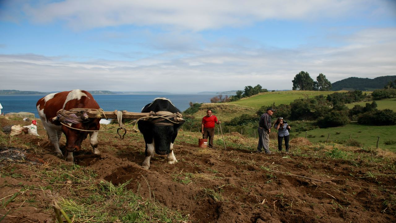 Parque Aventura Chaiguen foto 10