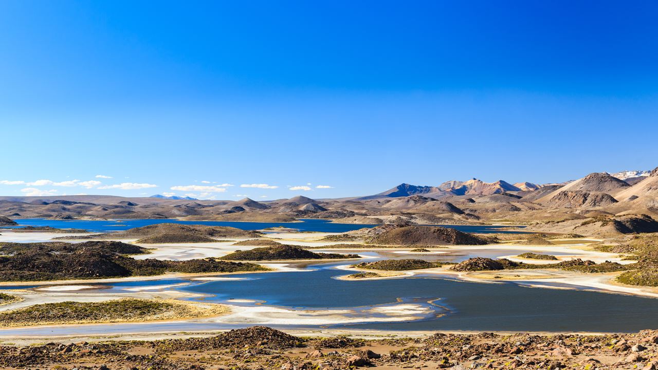 Parque Nacional Lauca E Lago Chungara foto 7