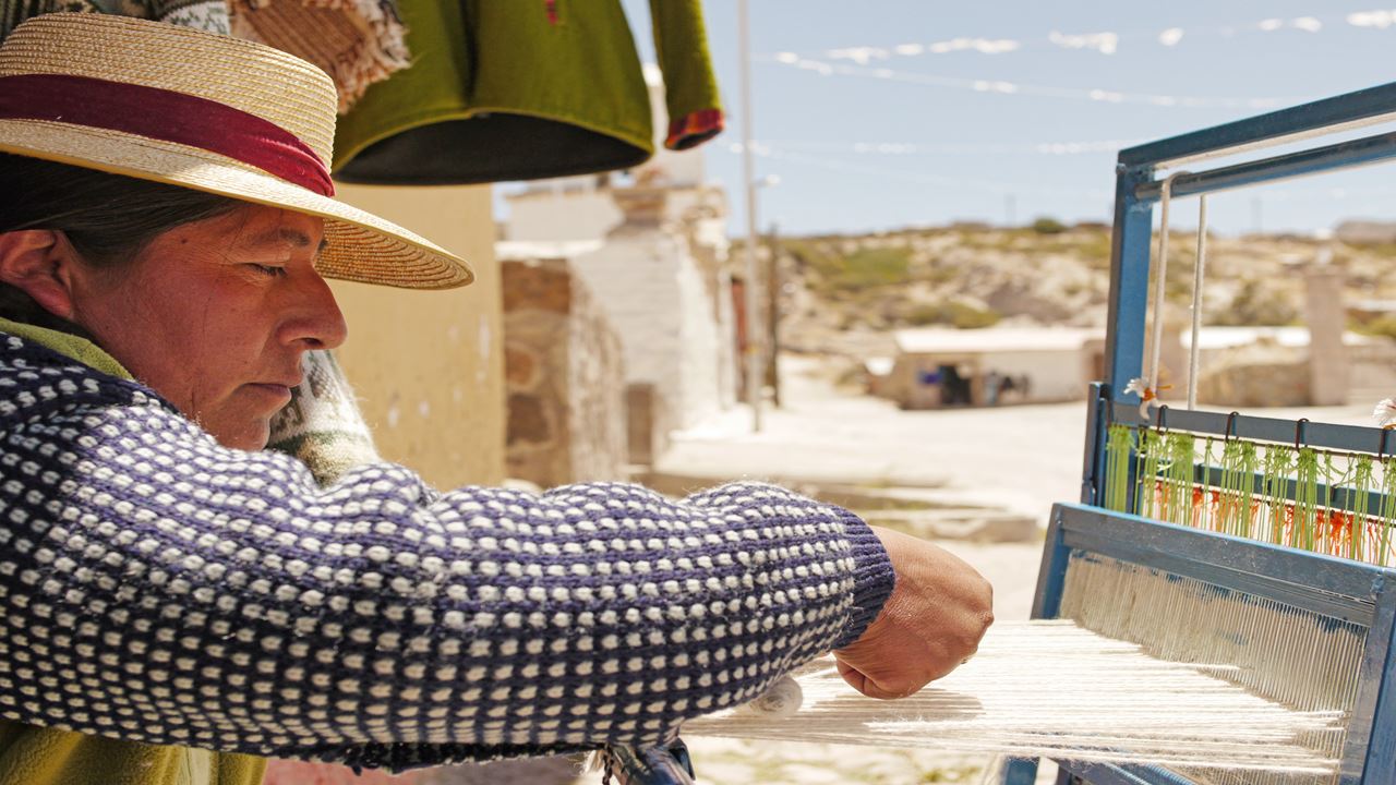 Parque Nacional Lauca E Lago Chungara foto 10