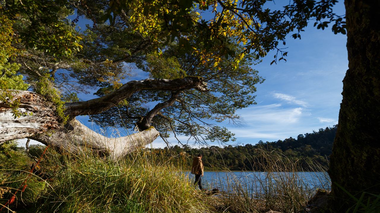 Parque Nacional Puyehue E Termas De Aguas Calientes foto 1