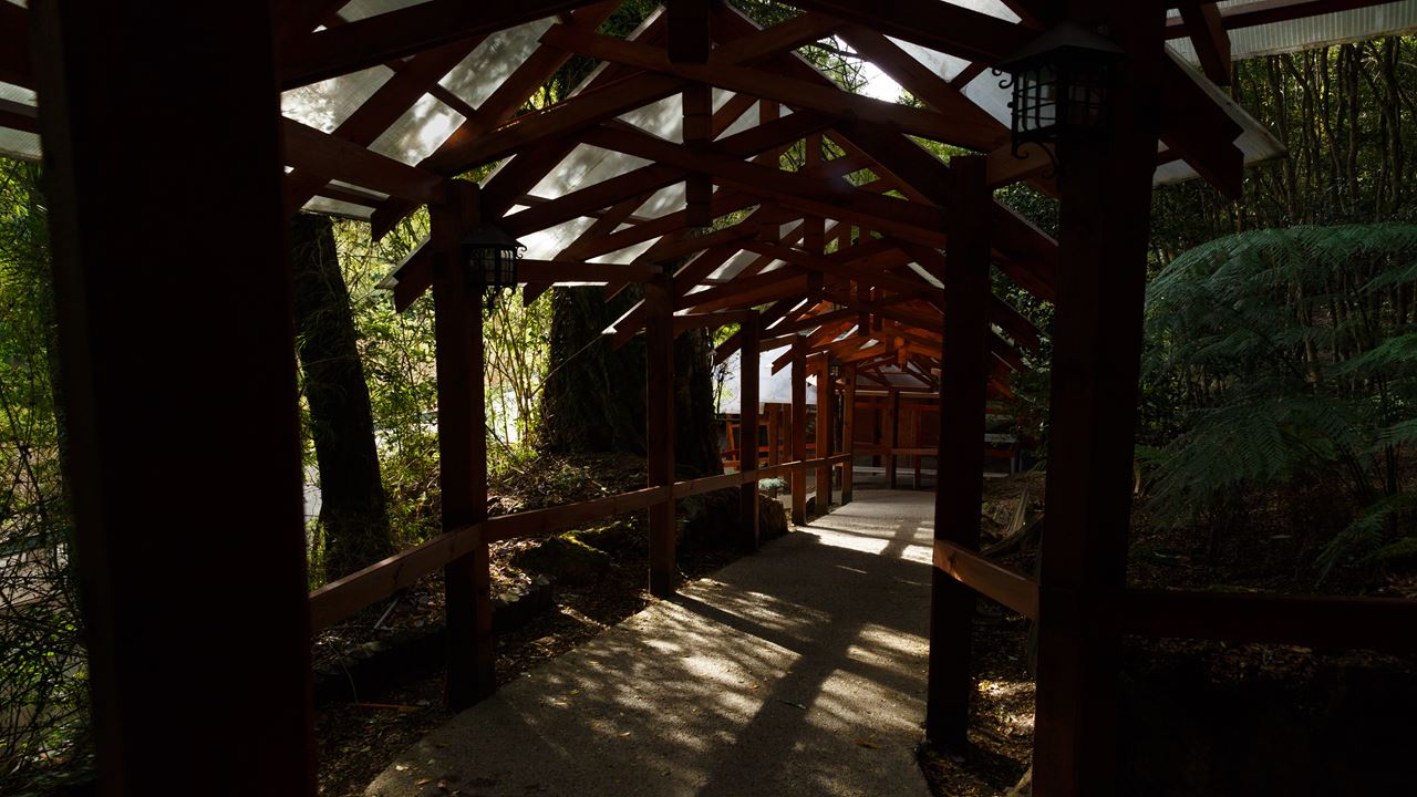 Parque Nacional Puyehue E Termas De Aguas Calientes foto 6