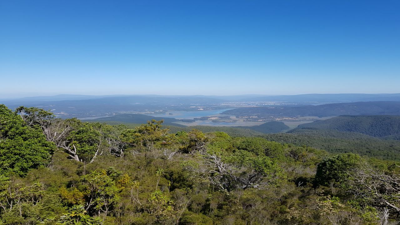 Parque Oncol Em Valdivia, História E Trilhas Naturais foto 2