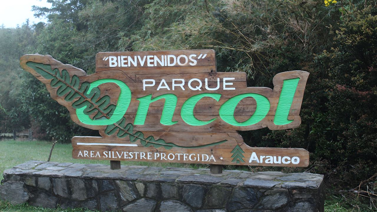 Parque Oncol Em Valdivia, História E Trilhas Naturais foto 7