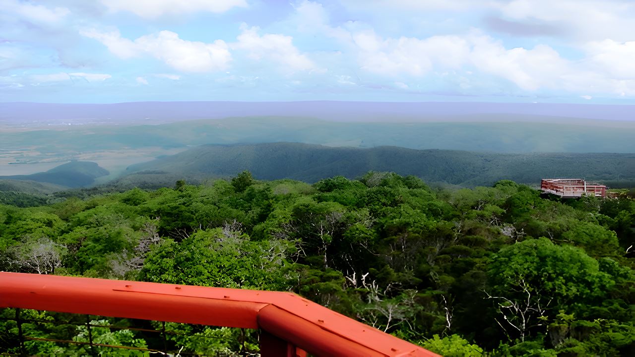 Parque Oncol Em Valdivia, História E Trilhas Naturais foto 1