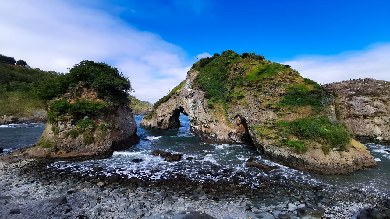 Parque Oncol Em Valdivia, História E Trilhas Naturais foto 5