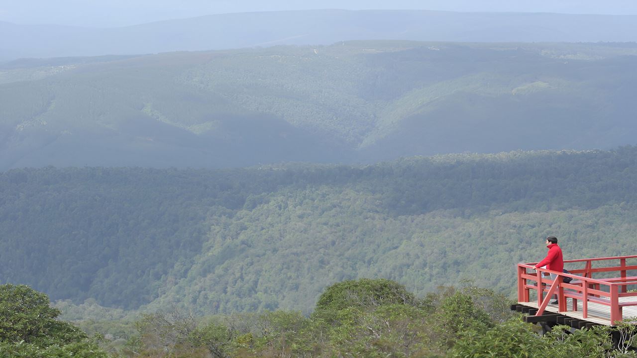 Parque Oncol Em Valdivia, História E Trilhas Naturais foto 4