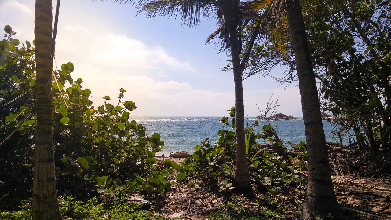 Parque Tayrona: Tour A Cabo San Juan foto 4