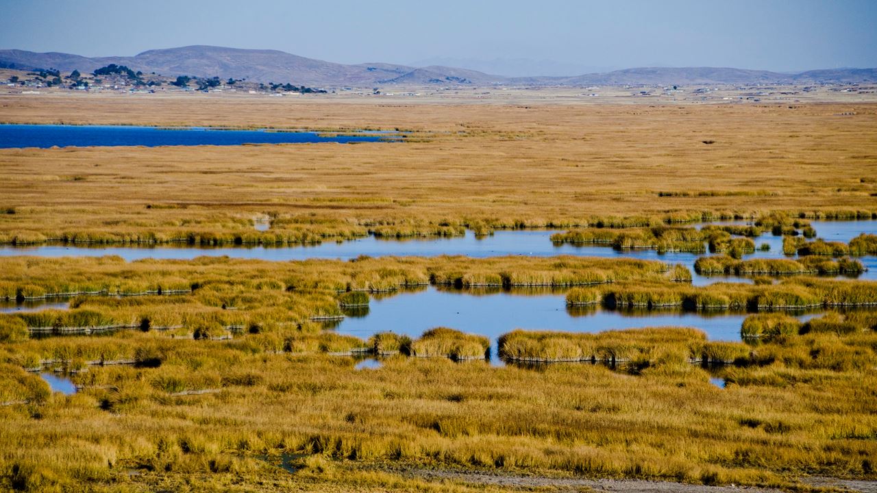Chucuito Bike Tour foto 6