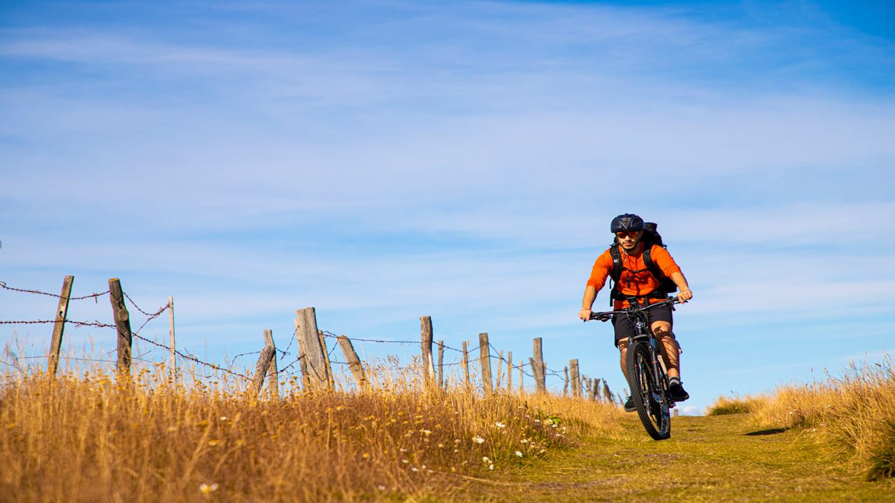 Electric Bike Tour (1)