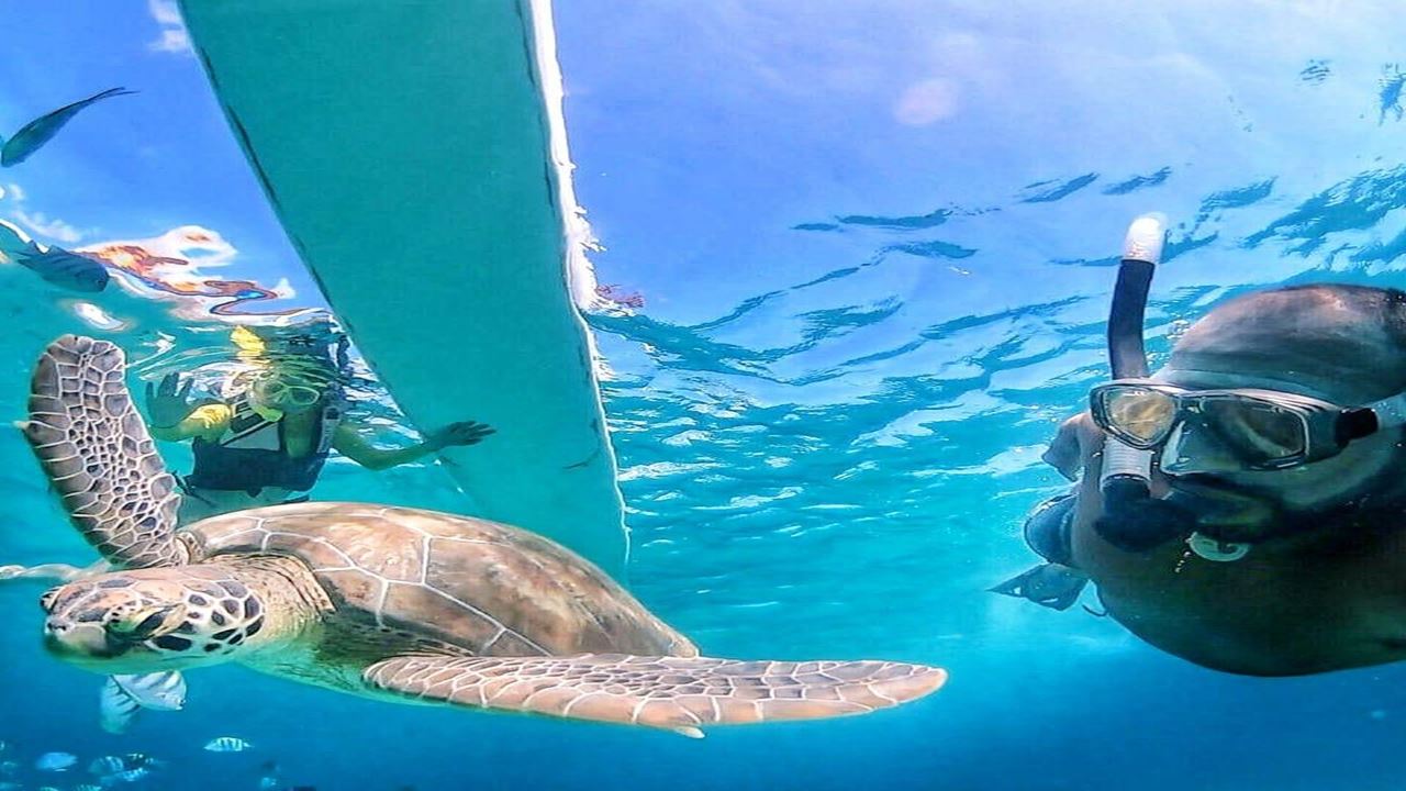 Passeio Em Canoa Havaiana foto 7