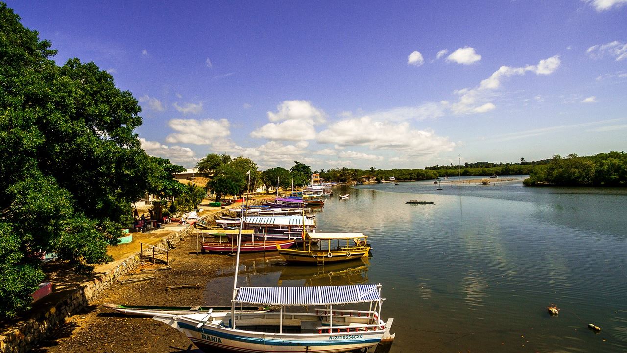 Tour De Escuna Pelas Ilhas Tropicais foto 5