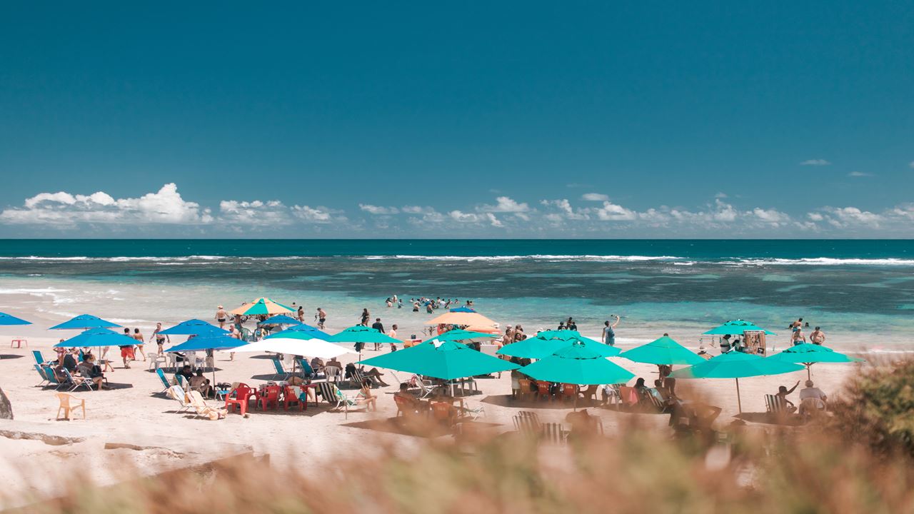 Passeio Em Porto De Galinhas foto 2