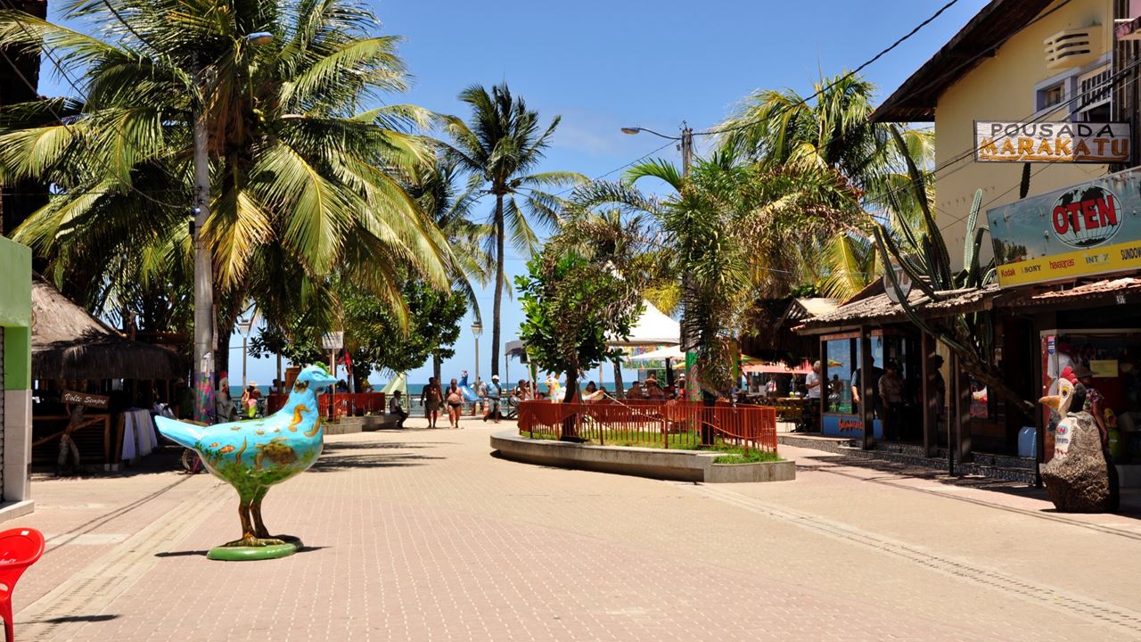 Passeio Em Porto De Galinhas foto 9