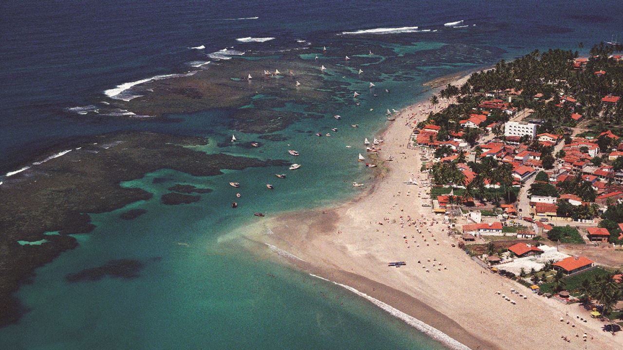 Passeio Em Porto De Galinhas foto 7