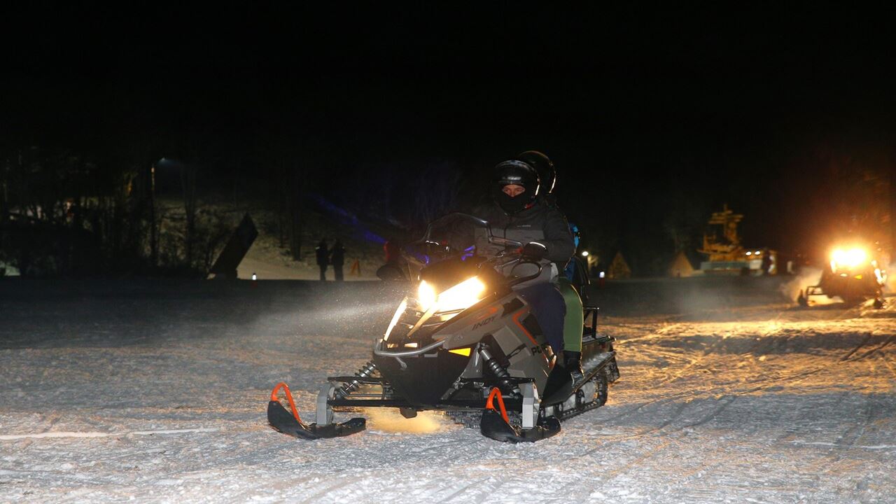 Paseo En Trineo, Moto De Nieve Y Raquetas Con Cena (1)