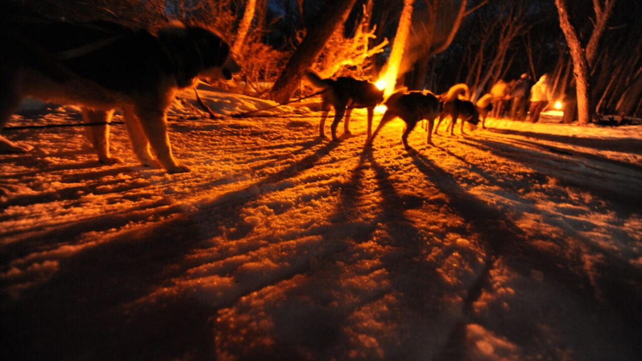 Paseo En Trineo, Moto De Nieve Y Raquetas Con Cena (2)
