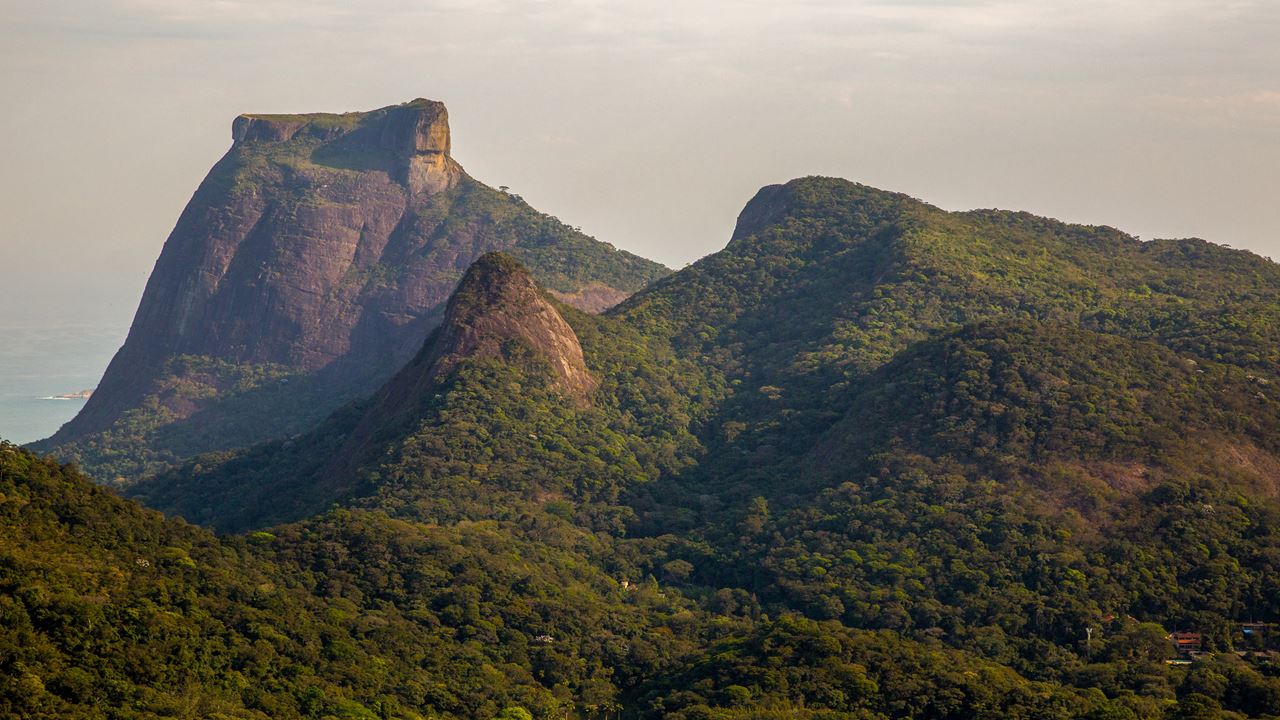 Pedra Da Gavea Trekking (1)