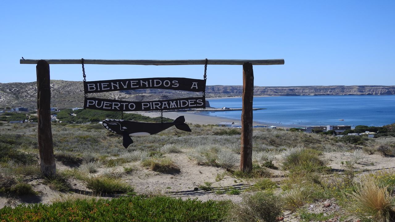 Península Valdes Imperdible (4)