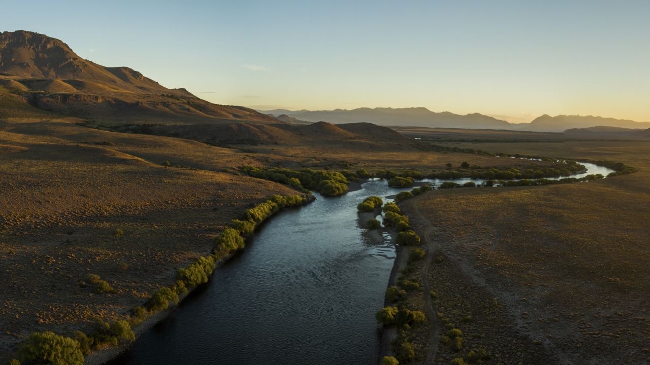 Pesca Com Mosca No Rio Limay (4)