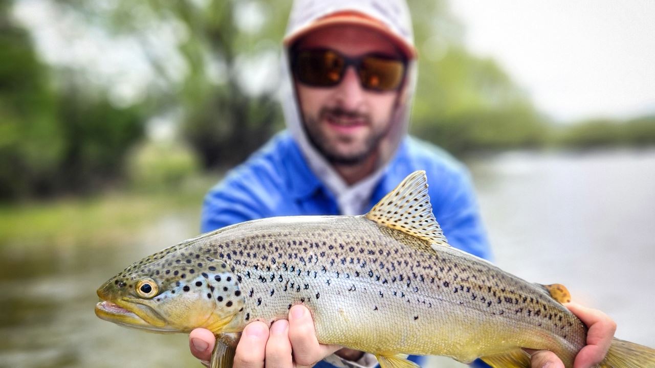 Pesca Com Mosca No Rio Limay (1)